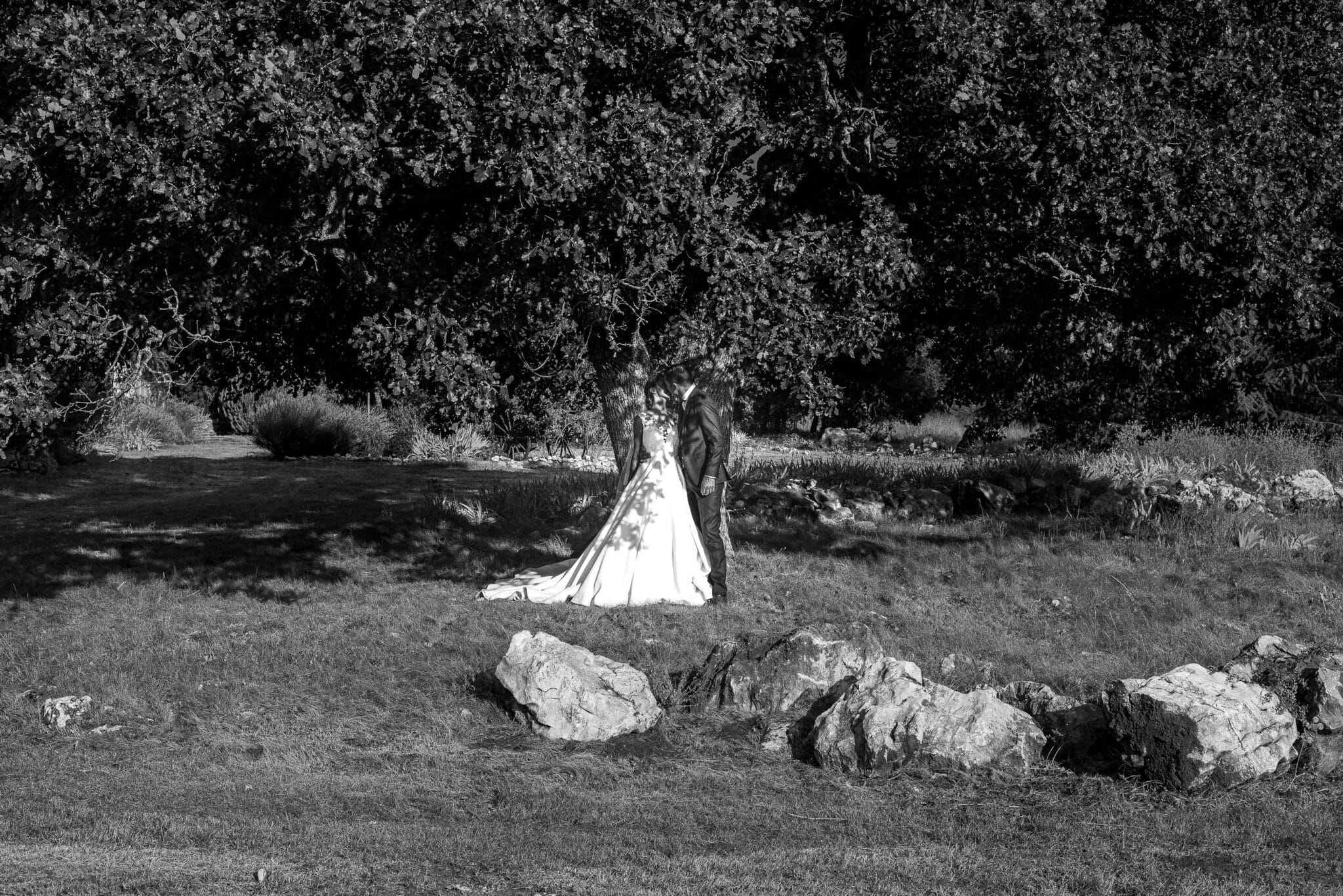 The newlyweds under under the hundred-year-old oak tree